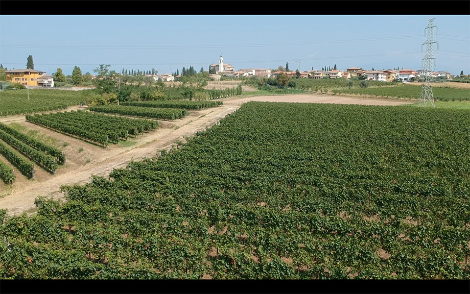 Rượu Vang Italia Castelnuovo Del Garda Vino Rosso Sweet Life